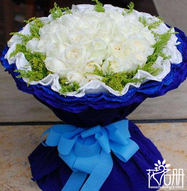 66朵白玫瑰花语,细水长流我的爱永不变_花语大全