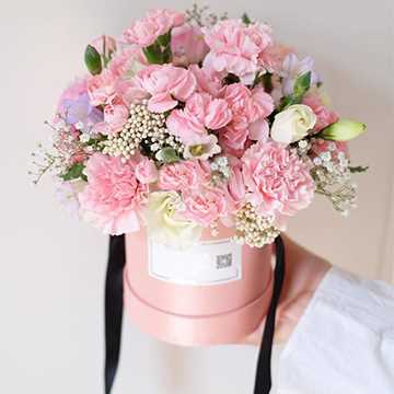 康乃馨鲜花的花语代表了什么含义?