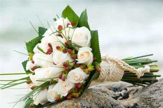 白玫瑰花语是纯洁浪漫