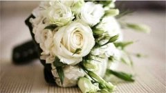 白玫瑰花语是纯洁浪漫