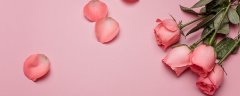 粉玫瑰的花语和寓意 粉玫瑰的花语