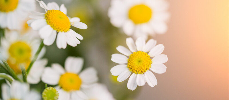 6c5345e91af1f50297cad6a0feef897.jpg
