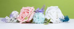 白色玫瑰花花语是什么？