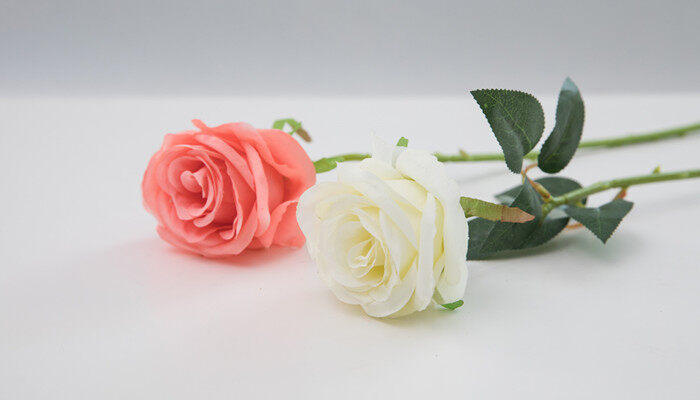 摄图网_500875118_banner_桌子上的玫瑰花（企业商用）.jpg