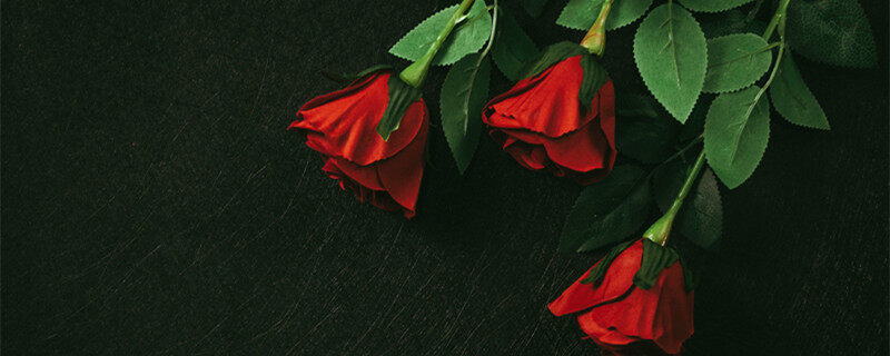 红白玫瑰1.jpg