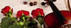 8朵红玫瑰花语及寓意