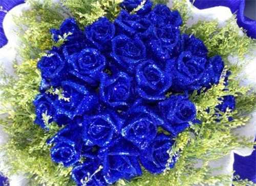 蓝色妖姬19朵代表什么，浪漫永恒的蓝色爱恋：19朵蓝色妖姬代表的意思 蓝色妖姬的花语