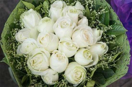 21朵白玫瑰的花语，真诚的爱你/你是我的最爱：21朵白玫瑰花语 不同颜色的21朵玫瑰的花语