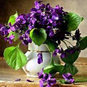 紫罗兰的花语含义代表什么意思？