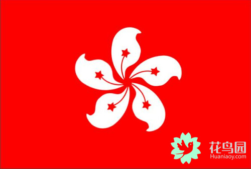 香港市花紫荆花的花语是什么？