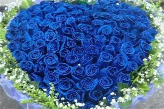 蓝色妖姬花语11朵：蓝色妖姬11朵花的花语 蓝色妖姬不同数量不同花语