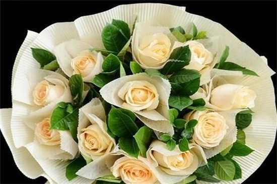 香槟玫瑰花语是什么，送女友送爱人的花语自撰：香槟玫瑰的花语 香槟玫瑰的种植方法