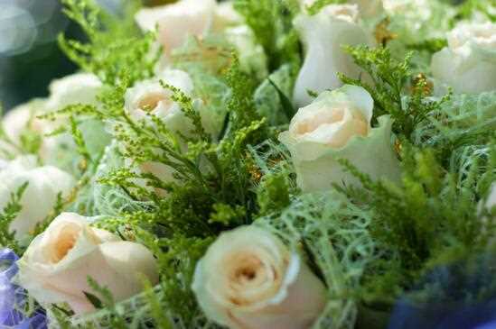 香槟玫瑰花语是什么，送女友送爱人的花语自撰：香槟玫瑰的花语 香槟玫瑰的种植方法