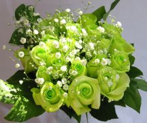 绿色蔷薇花的花语是什么？