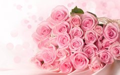 粉玫瑰花语有哪些？