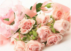 粉红玫瑰花语有哪些？