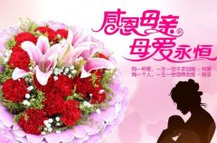 康乃馨的花语是什么，十二种花色十二种花语/不朽的母爱有哪些？