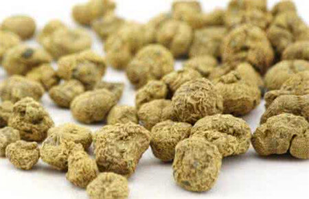 延胡索的花语和传说 第4张