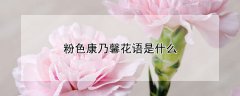 粉色康乃馨花语是什么