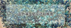 蓝色满天星花语和寓意