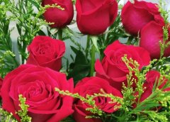 61朵玫瑰花花语代表什么意思？