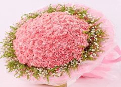 粉色康乃馨花语代表什么意思？
