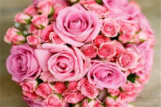 粉玫瑰花语，玫瑰花粉的功效与作用