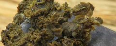 没有处理的蜂胶怎么吃？