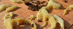 蜜蜂为什么要修筑蜂巢？