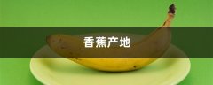 香蕉产地，香蕉品种大全