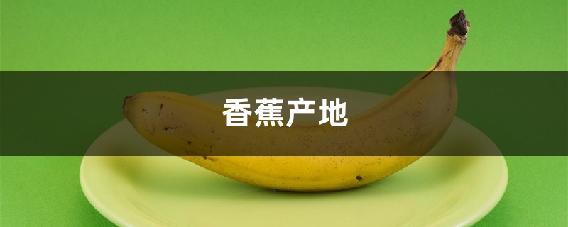香蕉产地,香蕉品种大全 香蕉产地,香蕉品种大全
