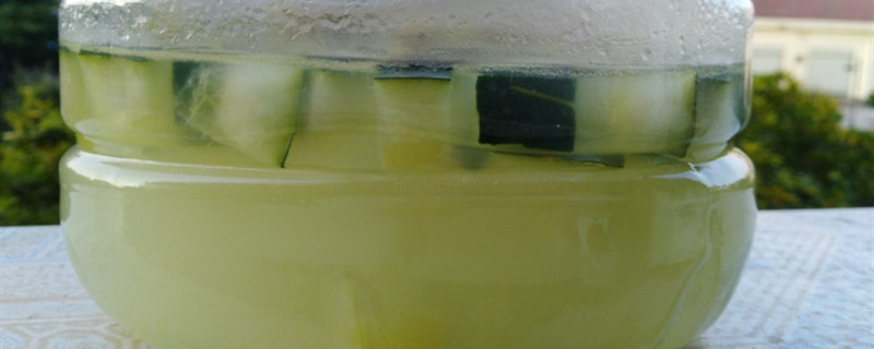 淘米水浇花需发酵多久,怎么发酵才不臭 淘米水浇花需发酵多久,怎么发酵才不臭