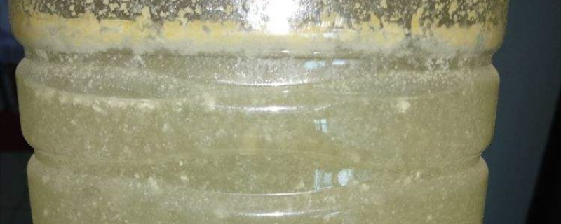 淘米水浇花好吗,浇花的正确方法 淘米水浇花好吗,浇花的正确方法