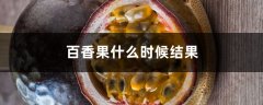 百香果什么时候结果，什么时候成熟