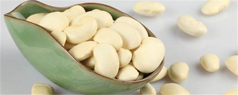 芸豆的养殖方法和注意事项 芸豆的养殖方法和注意事项