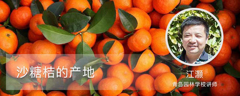 沙糖桔的产地 沙糖桔的产地