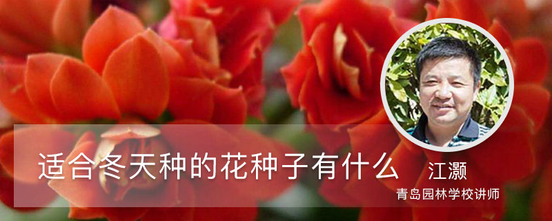 适合冬天种的花种子有什么 适合冬天种的花种子有什么