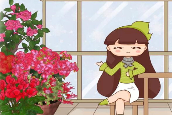 2019最火的过年花,摆家里特有面儿,你不养一盆? 2019最火的过年花,摆家里特有面儿,你不养一盆?
