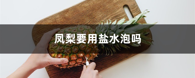 凤梨要用盐水泡吗，菠萝用盐水泡的原因