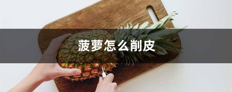 菠萝怎么削皮,菠萝去皮最简单的方法 菠萝怎么削皮,菠萝去皮最简单的方法