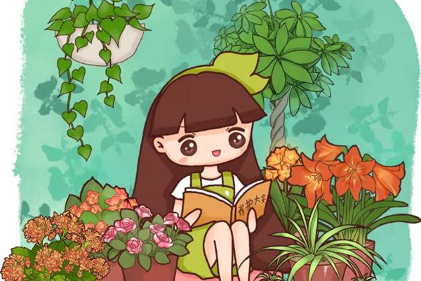 花长得丑,却是吉祥之物,养人又镇宅! 花长得丑,却是吉祥之物,养人又镇宅!
