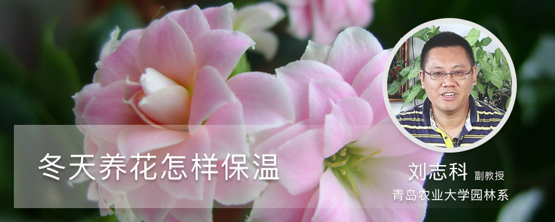 冬天养花怎样保温 冬天养花怎样保温
