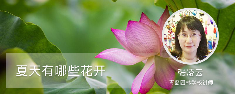 夏天有哪些花开 夏天有哪些花开