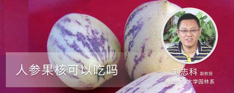 人参果核可以吃吗 人参果核可以吃吗