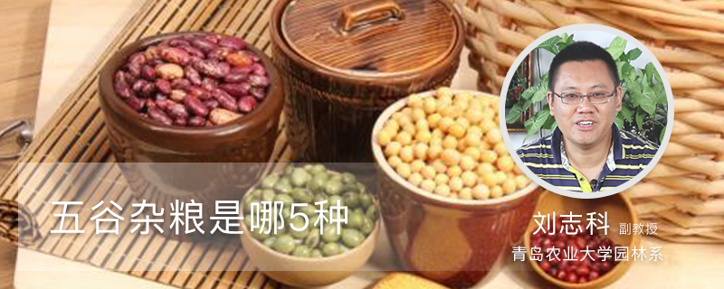 五谷杂粮是哪5种 五谷杂粮是哪5种