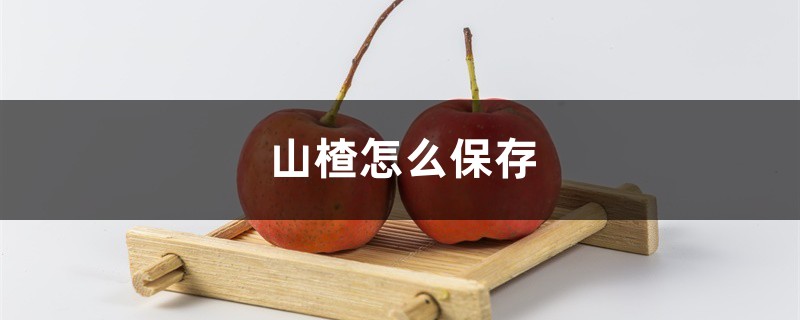 山楂怎么保存 山楂怎么保存