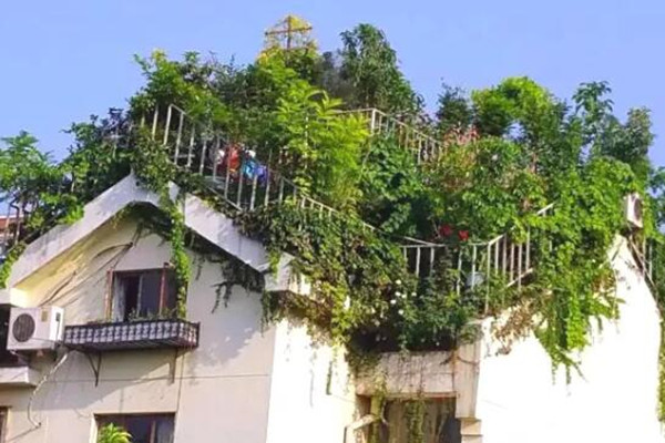 70岁大爷,皇城边上建空中花园,全北京最牛! 70岁大爷,皇城边上建空中花园,全北京最牛!