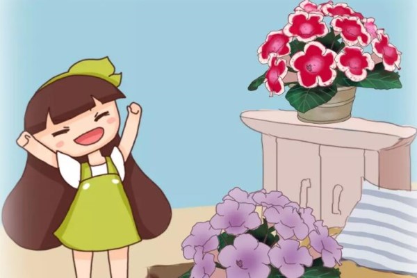 这花没太阳也能一年四季开,摘个叶就能养出一大片! 这花没太阳也能一年四季开,摘个叶就能养出一大片!