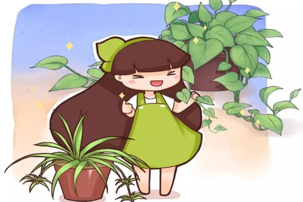 这7种花最旺事业!提神醒脑抗疲劳,办公室必备! 这7种花最旺事业!提神醒脑抗疲劳,办公室必备!