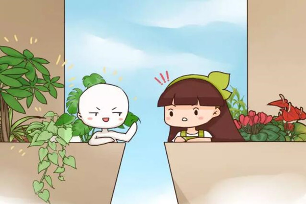 这6种花,千万别乱晒太阳,小心晒1盆死1盆! 这6种花,千万别乱晒太阳,小心晒1盆死1盆!